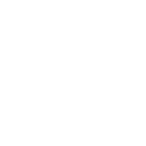 link_shield.png