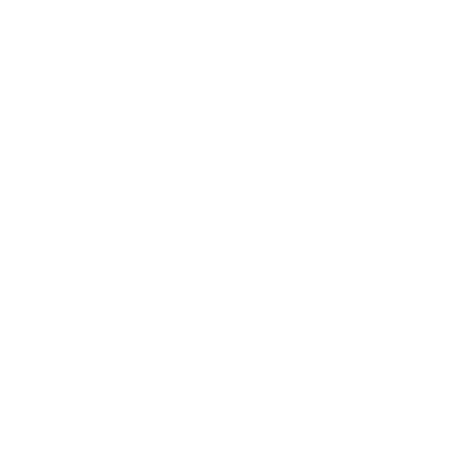 processor.png