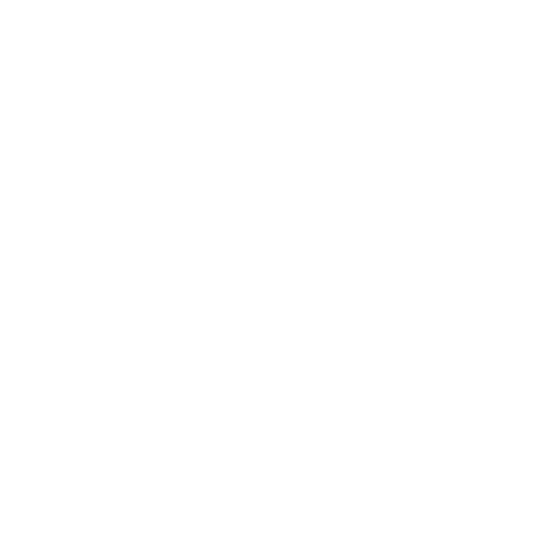 scan.png
